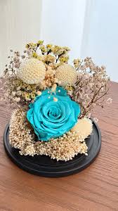 Flores Turquesas